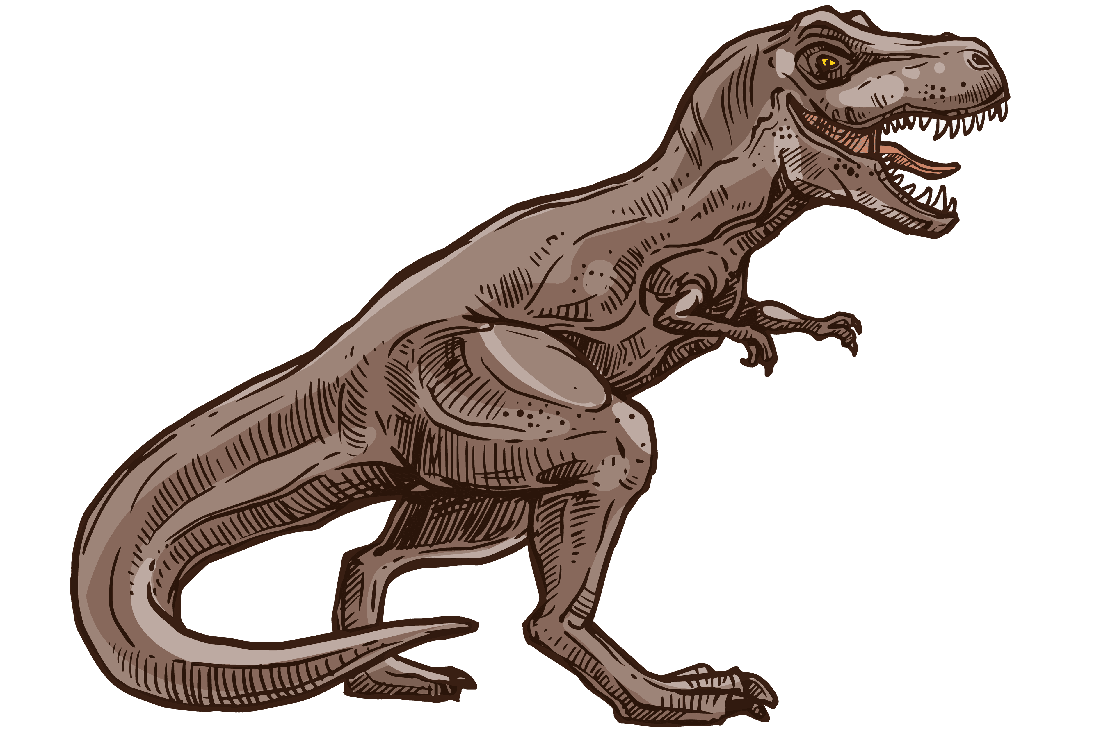 Tyranosaurus 2 nahled min