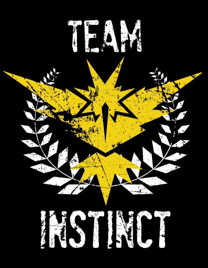 Mikina Pokemon Team Instinct