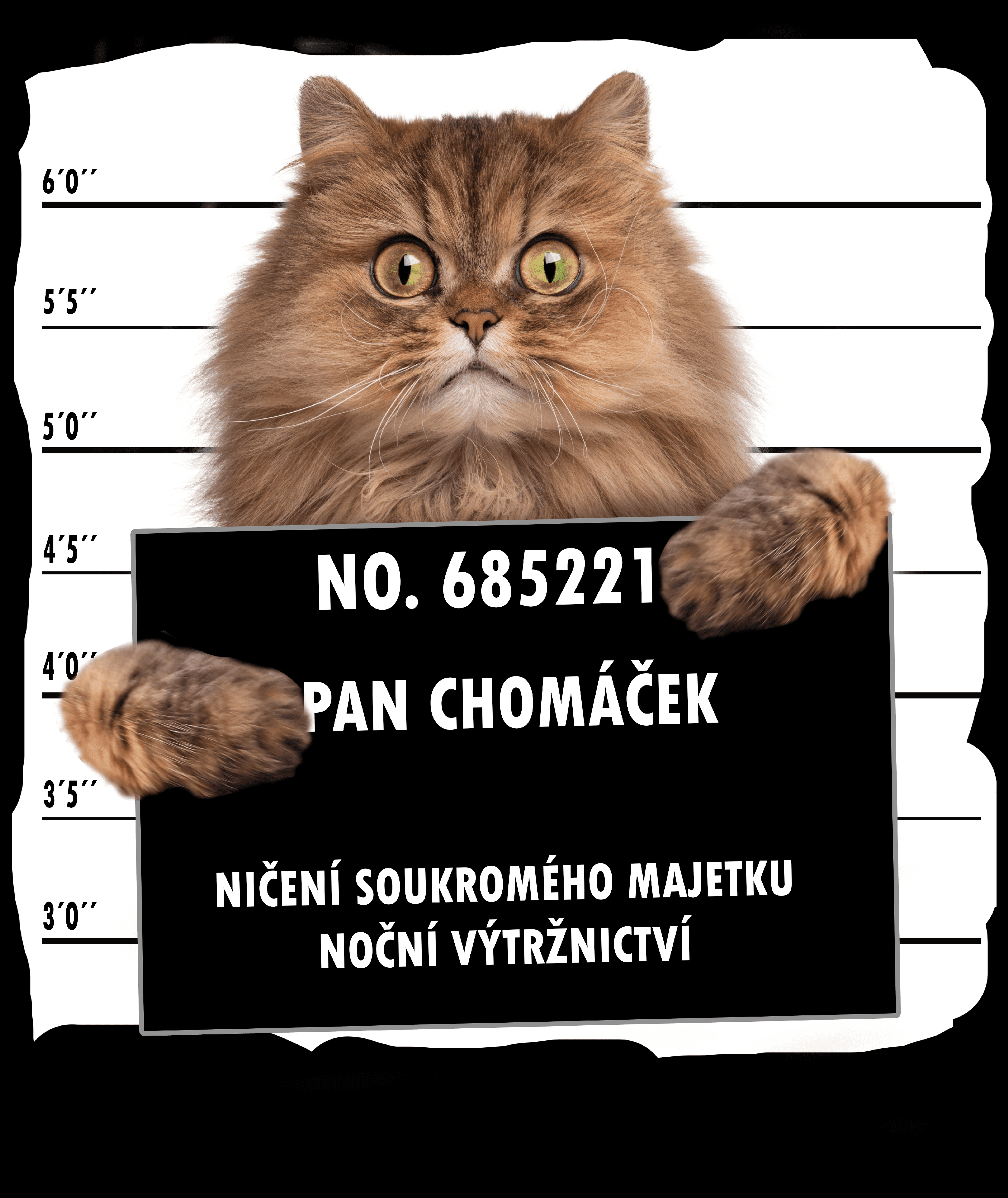 PAN CHOMÁČEK min