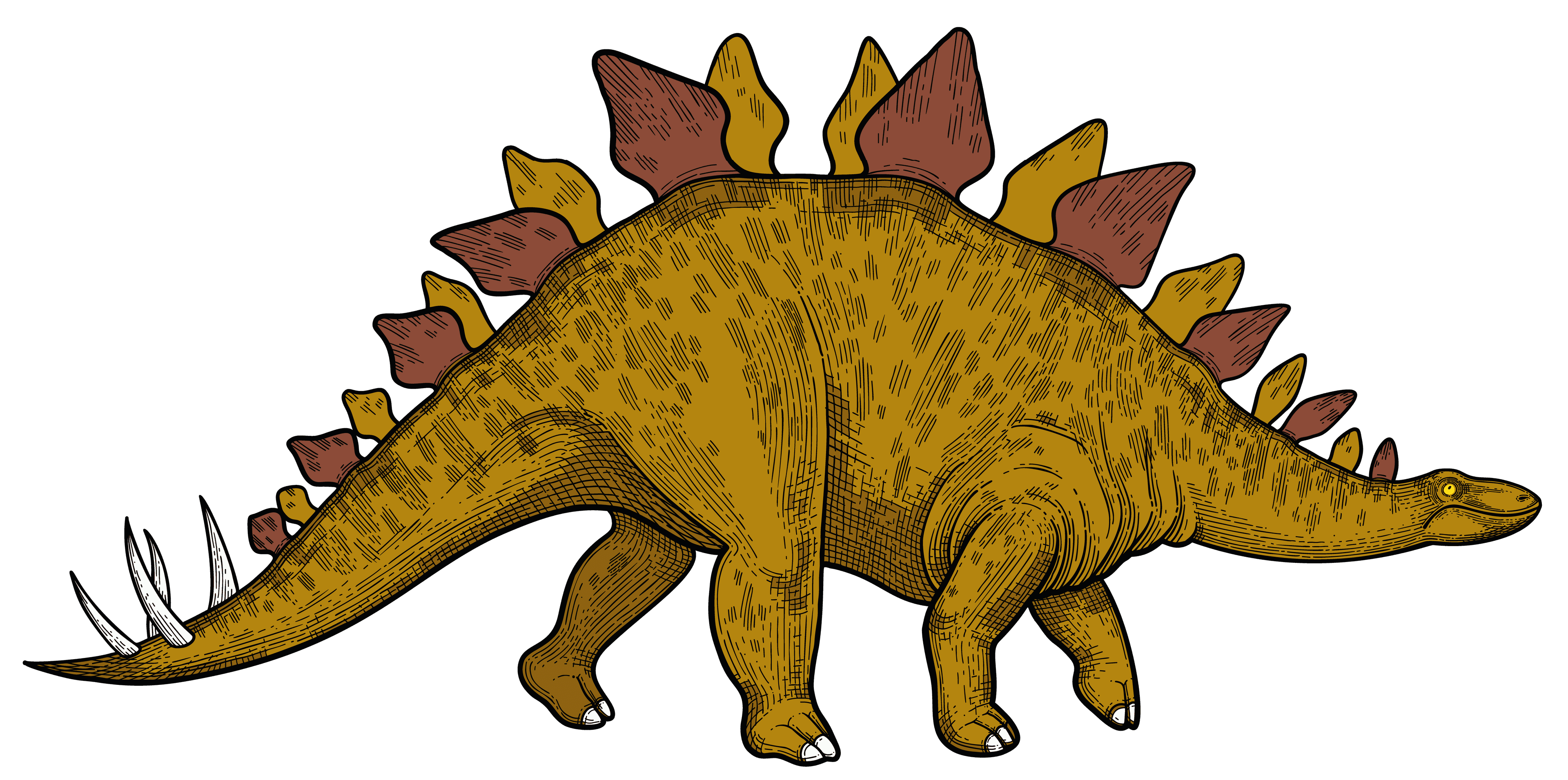 Stegosaurus nahled min