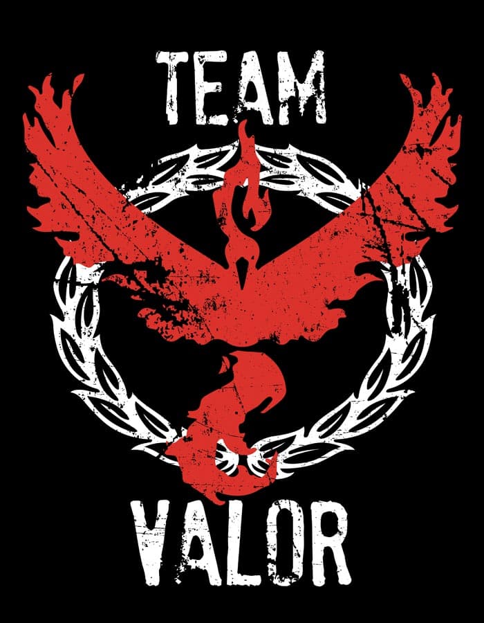 Unisex mikina Pokemon Team Valor
