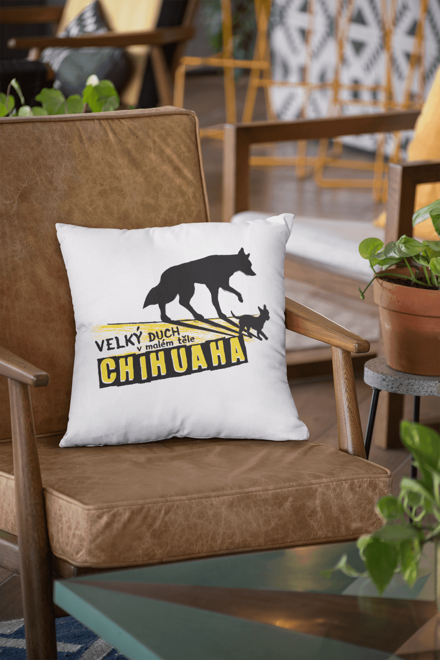 chihuaha polstarek min